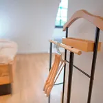 Apartman Le Rustique - Netflix/wi-fi Fibre - Sejour Lozere Mende