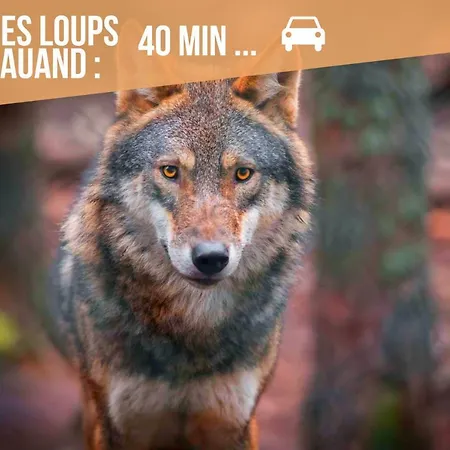 Apartment Le Rustique - Netflix/wi-fi Fibre - Sejour Lozere Mende