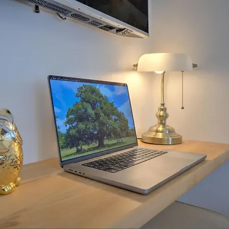 Apartment Le Rustique - Netflix/wi-fi Fibre - Sejour Lozere Mende