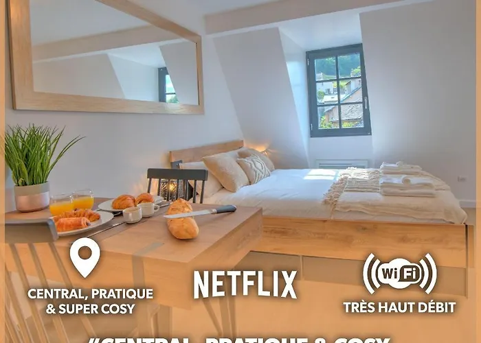 Διαμέρισμα Le Rustique - Netflix/wi-fi Fibre - Sejour Lozere Mende