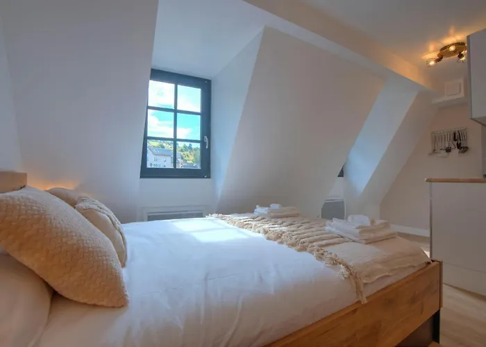 Διαμέρισμα Le Rustique - Netflix/wi-fi Fibre - Sejour Lozere Mende